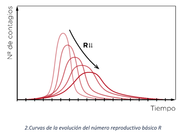 curvas número reproductivo básico R